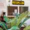 Golden Paradise Hostel - Isola Holbox