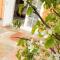 Pear Tree Cottage