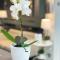 SM Hotel Sant Antoni