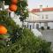 Oryza Guest House& Suites
