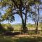 Wildhaven Sonoma Glamping