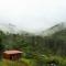 Navarro mountain