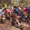 Camping & Bungalows Platja Brava