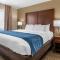 Comfort Inn Near Kokomo Speedway