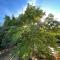 Villa Lilia by Let