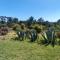 Monte da Urze Aljezur - Agroturismo