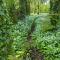 Detached Bungalow in North Cornwall