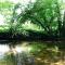 Trelaske Mill Cider Barn-with Hot Tub, Fire Pit BBQ