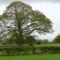 THE GINNEY Country Guest House