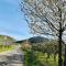 Residenz Moselzauber - Ferienwohnungen mit Pool Landschaft