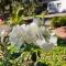 DRIFTWOOD BOUTIQUE BED AND BREAKFAST