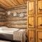 Polar Aurora Cabins