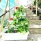Luckyshine hostel