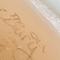 The Old Dairy