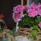 B&B Lodge dell'Ospite Ischia