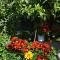 B&B Lodge dell'Ospite Ischia