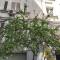 Vittoria Guest House Salerno