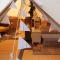 The White Dove Bed and Breakfast and Bell Tents 1 - Newark upon Trent