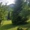 WOLF'S PLANE Luxury Isolated Mountain House for Digital Nomads - 福伊尼察