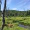 BC Log cabin with private beach river fire pit AC wifi onsite trails ski slope views - Carroll