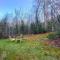 E7 Sunny Bretton Woods private home next to the slopes of Bretton Woods Hot Tub, Wifi