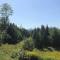 OE Beautiful modern log home on 17 acres private views fire pit Ping Pong AC