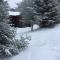 V3 Gorgeous SKI-IN Mountain View Townhouse with great views in Bretton Woods Fast wifi