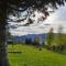 Chalet et mobil homes dans la montagne au Camping les Sapins