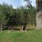 Garac Zlatibor Vikendica