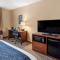 Comfort Inn & Suites Virginia Beach-Norfolk Airport