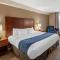 Comfort Inn & Suites Virginia Beach-Norfolk Airport