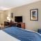 Comfort Inn & Suites Virginia Beach-Norfolk Airport