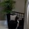 Quebecs Luxury Aparthotel