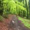 Greencourt Loft - The Cotswold Way, Stroud