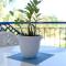 Paradise Gardens with a large terrace