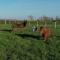 L Epi de Blé, séjour à la ferme