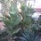 Guest House Orzu