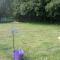 Wellness Ferienwohnung Waldblick