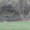 Wellness Ferienwohnung Waldblick