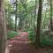 Wellness Ferienwohnung Waldblick
