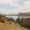 St Johns View