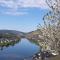 Mosel-Appartements Nehren - 摩泽尔河畔的泽尔