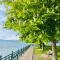 " Sunshine am See "