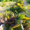 MyParadise-Farm Villa in the centre of South Crete