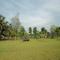 Baghmara Wildlife Resort