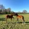 La Longere du Haras - Manerbe