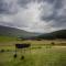 Appelsbosch Guest Farm