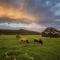 Appelsbosch Guest Farm - Swellendam