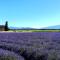 LInstant Provence LInstant Provence