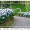 Hospedagem Doce Lar - Casa Bougainville